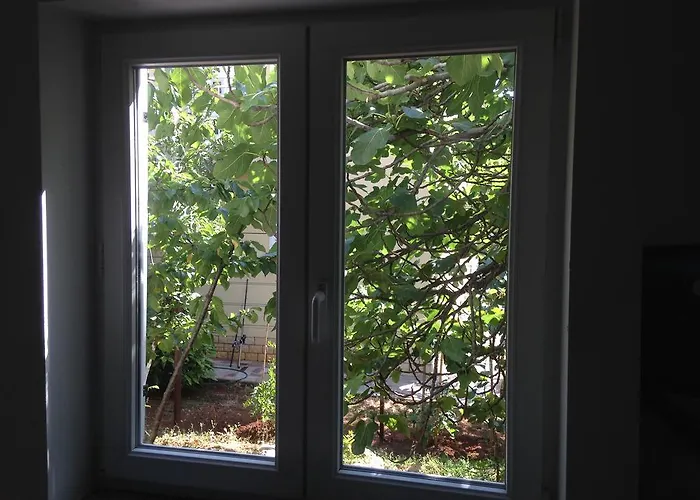 And Studio Jelusic Pinezici (Krk)