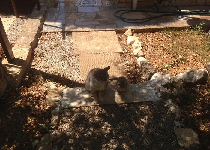 Apartman And Studio Jelusic *