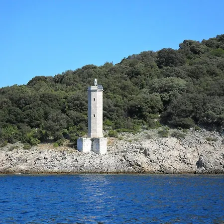Apartment And Studio Jelusic Pinezici (Krk)