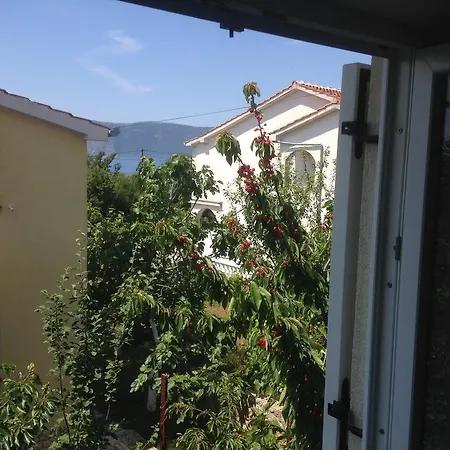 And Studio Jelusic *